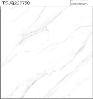 600*600mm亮光仿古砖大理石纹瓷砖时尚地砖客厅商场地砖餐厅地砖