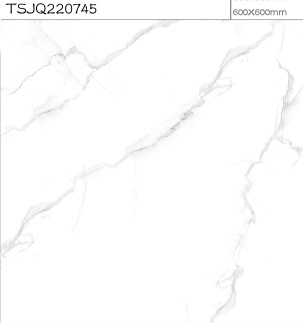 600*600mm亮光仿古砖大理石纹瓷砖时尚地砖客厅商场地砖餐厅地砖