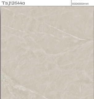 600*600mm时尚地砖客厅商场地砖餐厅地砖大理石纹瓷砖亮光仿古砖