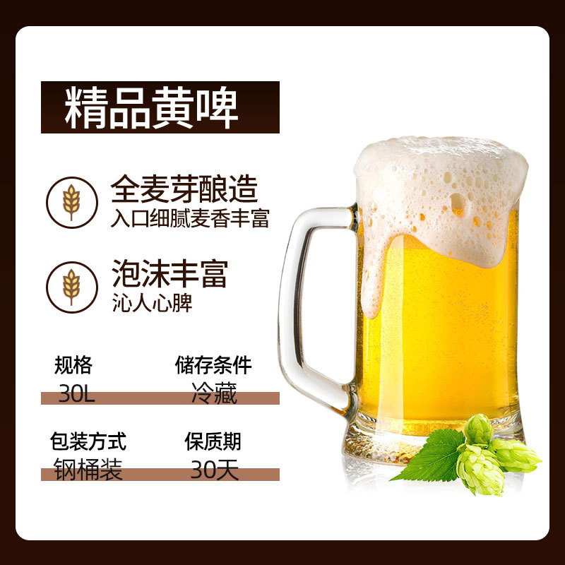 扎啤大桶扎啤30L桶装鲜啤 酒店KTV扎啤饭店餐馆啤酒批发