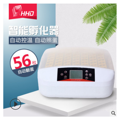 厂家直销全自动56枚迷你鸡鸭孵化器带一键照蛋 鸟类56S枚孵化机