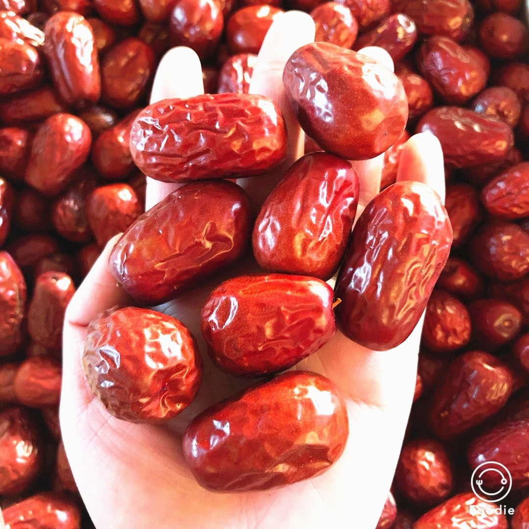 新疆和田大枣500g 肉质新鲜饱满 二级和田骏枣 四星大红枣 促销30