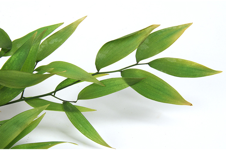 进口大地农园百合叶竹叶03915永生花插花手工diy花环装饰家居绿植